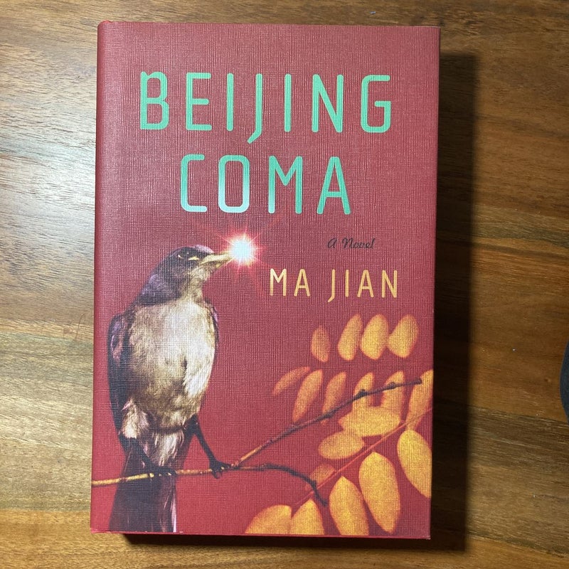 Beijing Coma