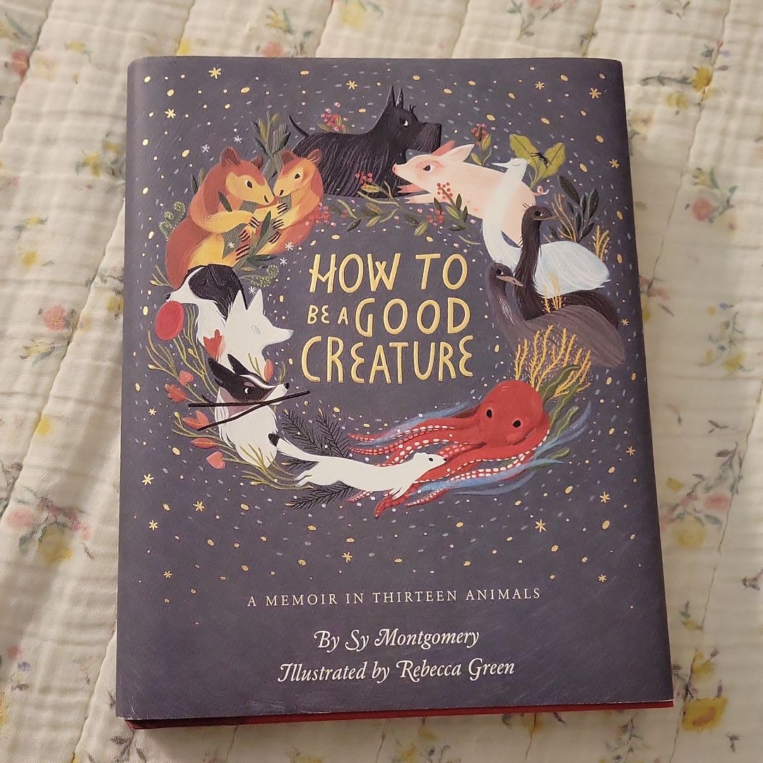 Sale image for e1817e6d-a997-4872-abfa-37e6186cb13b-M54Bb3zm1vXm92o2viaa33PBBML2