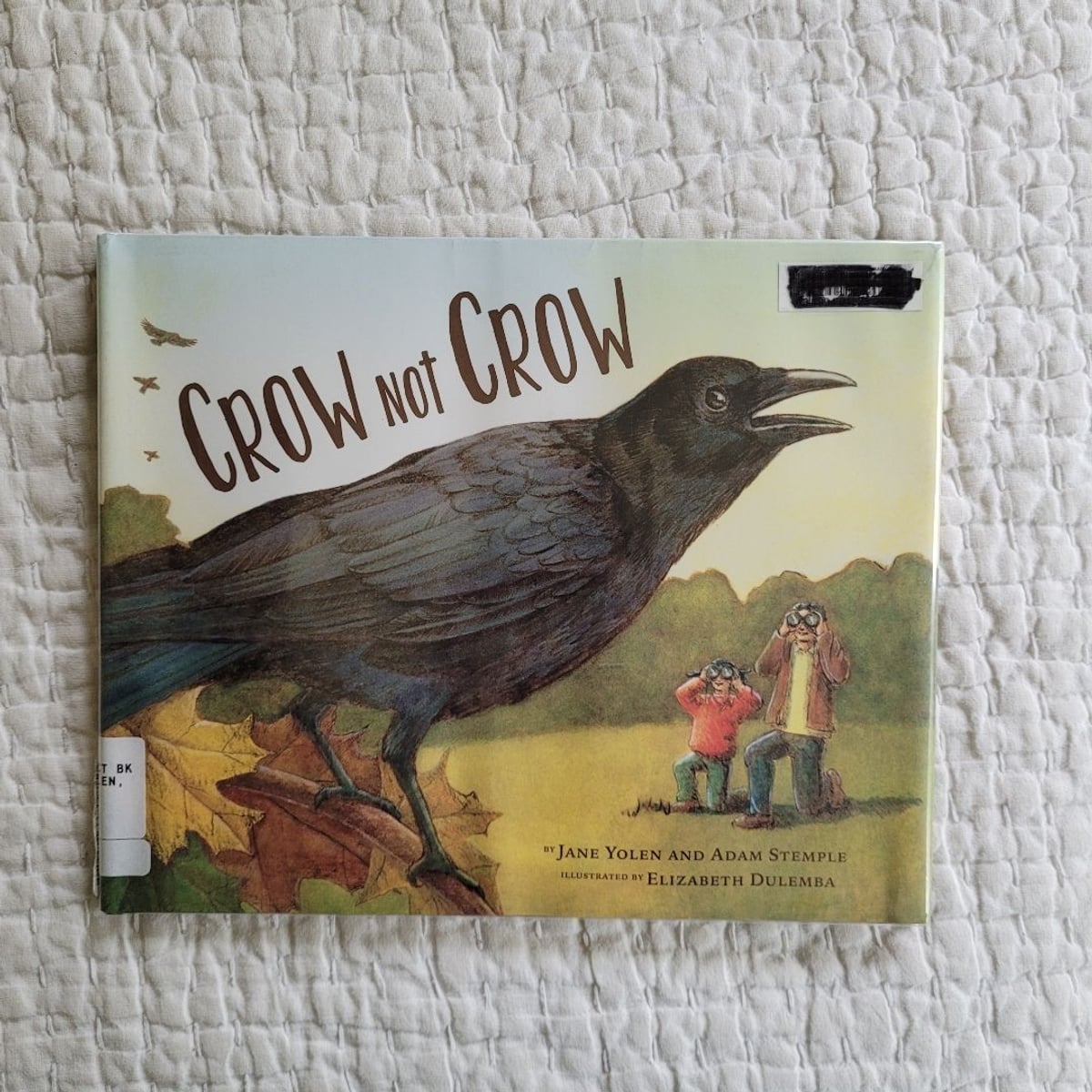 Crow Not Crow By Jane Yolen Adam Stemple