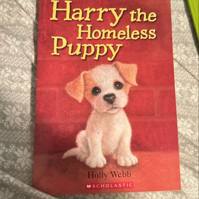 Harry the Homeless Puppy