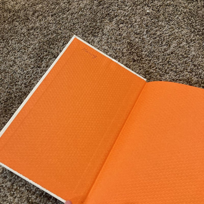 The Playbook