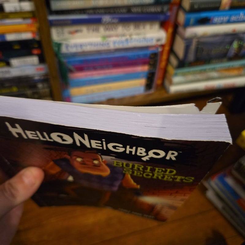 Hello Neighbor Series (3 Book Set)