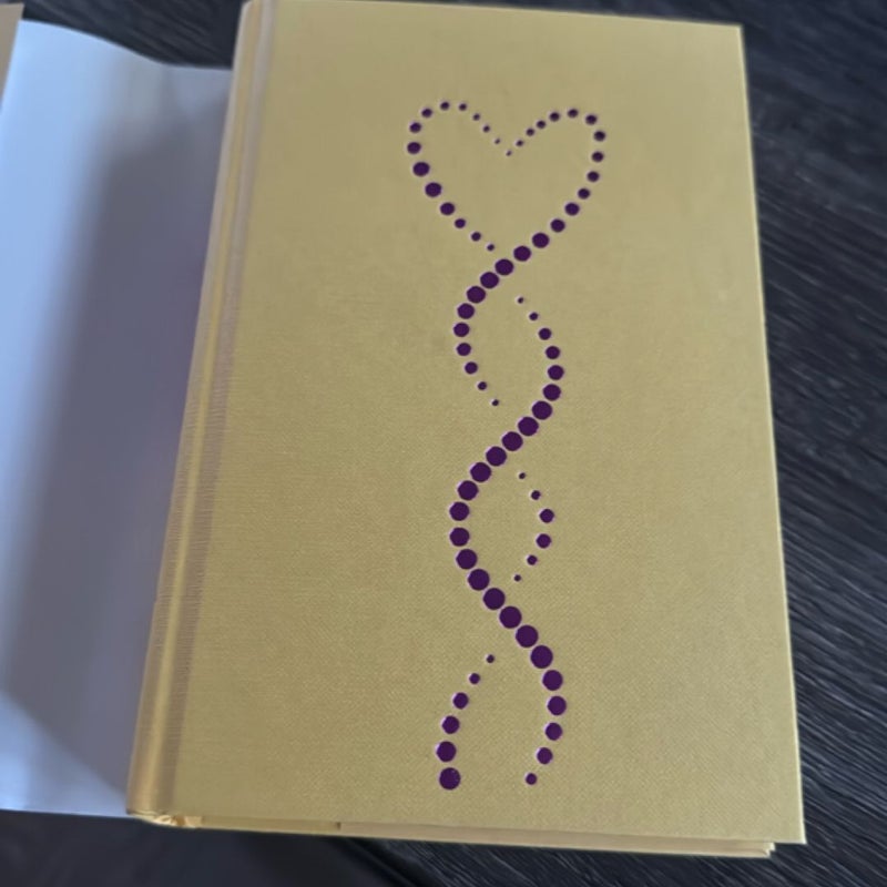The soulmate equation - illumicrate edition 