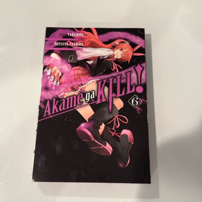 Akame Ga KILL!, Vol. 6