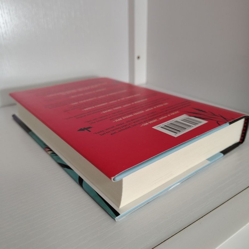 The Seaplane on Final Approach