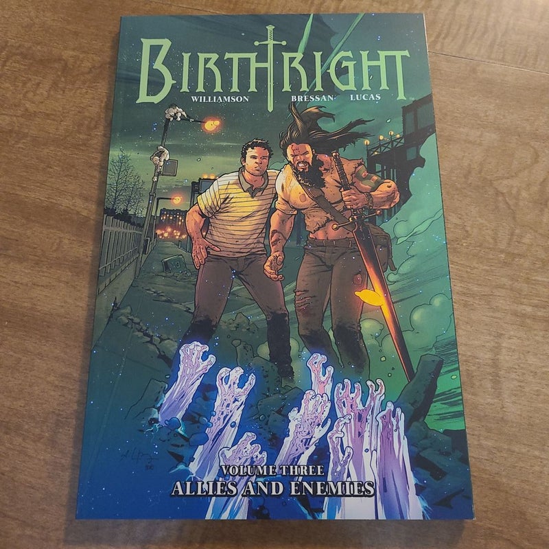 Birthright Volume 3: Allies and Enemies