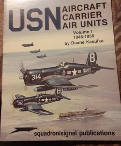 United States Navy Carrier Air Group Markings