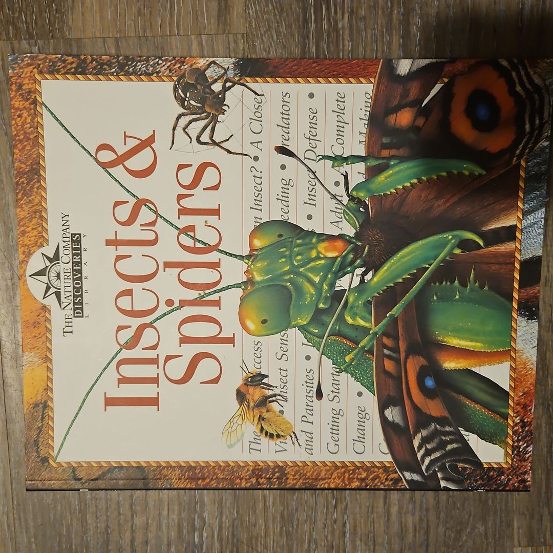 Infinite Constellations