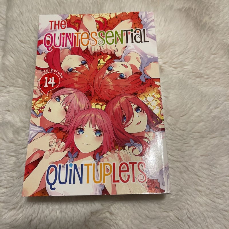 The Quintessential Quintuplets 14