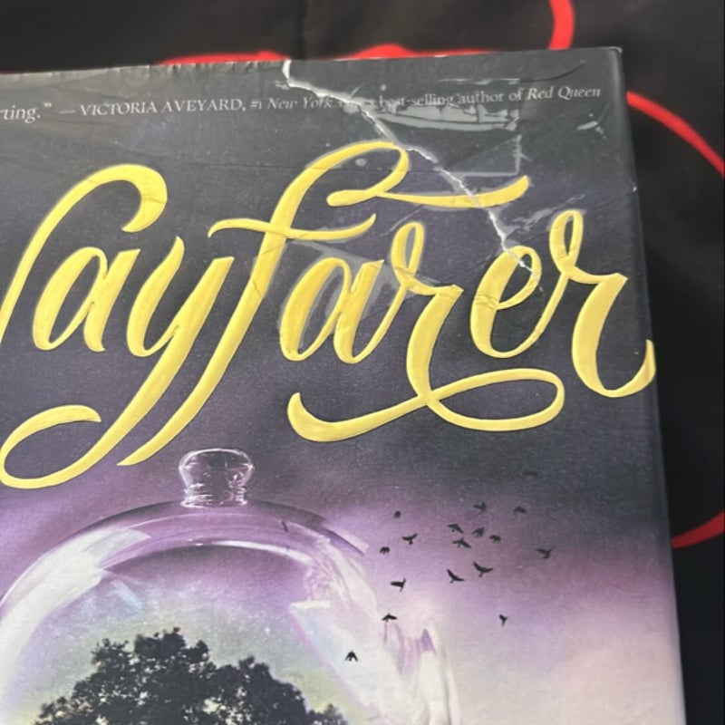 Wayfarer (a Passenger Novel, Book 2)