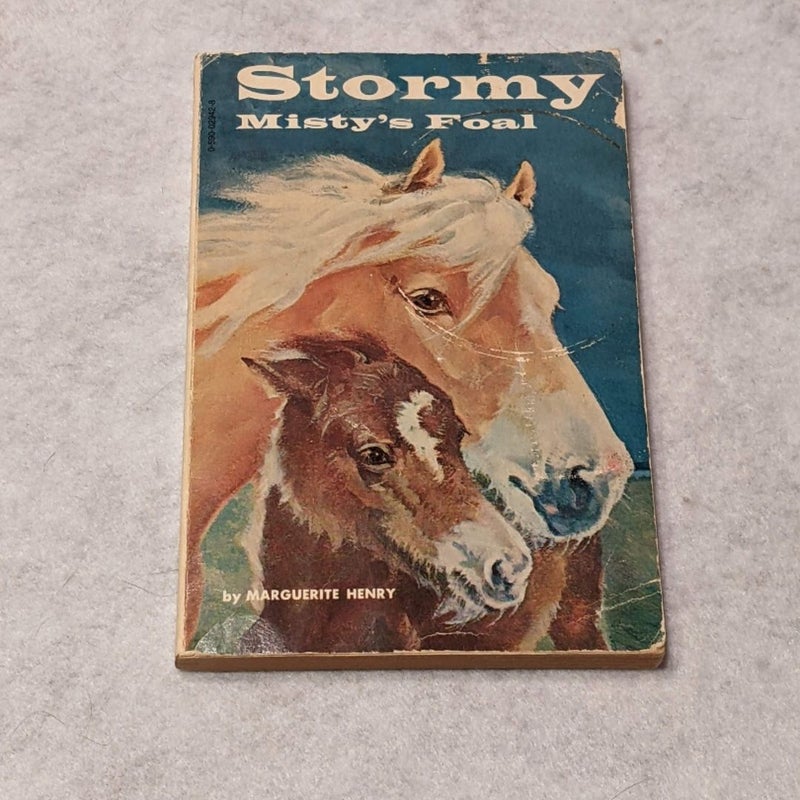 Stormy, Misty's Foal