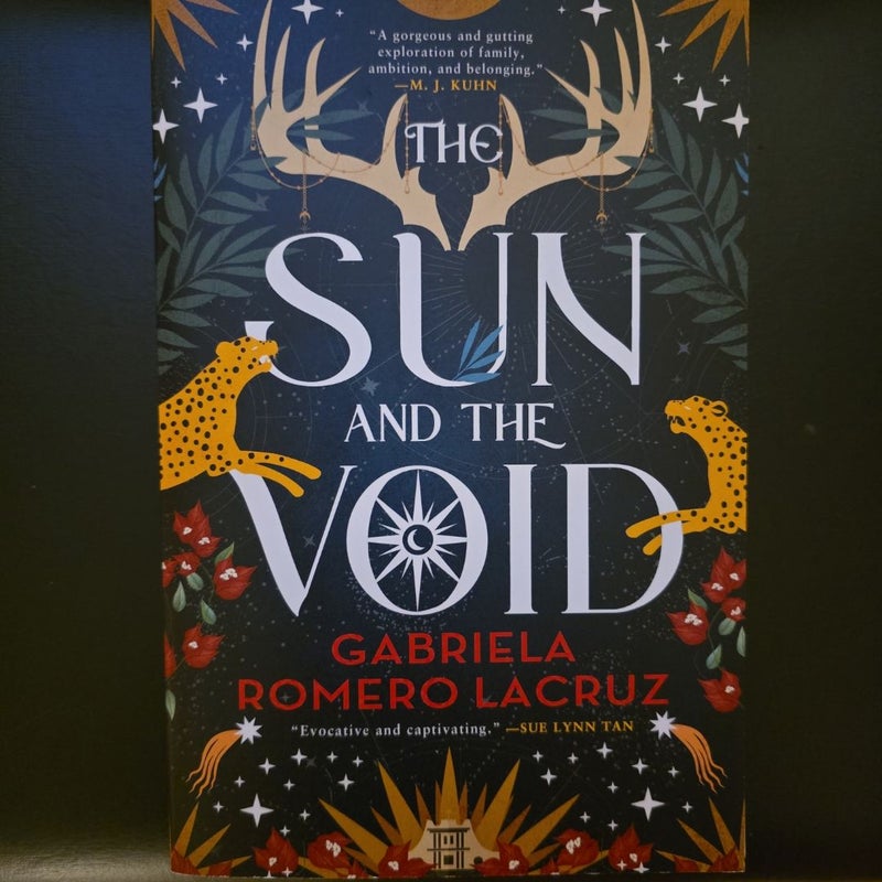 The Sun and the Void