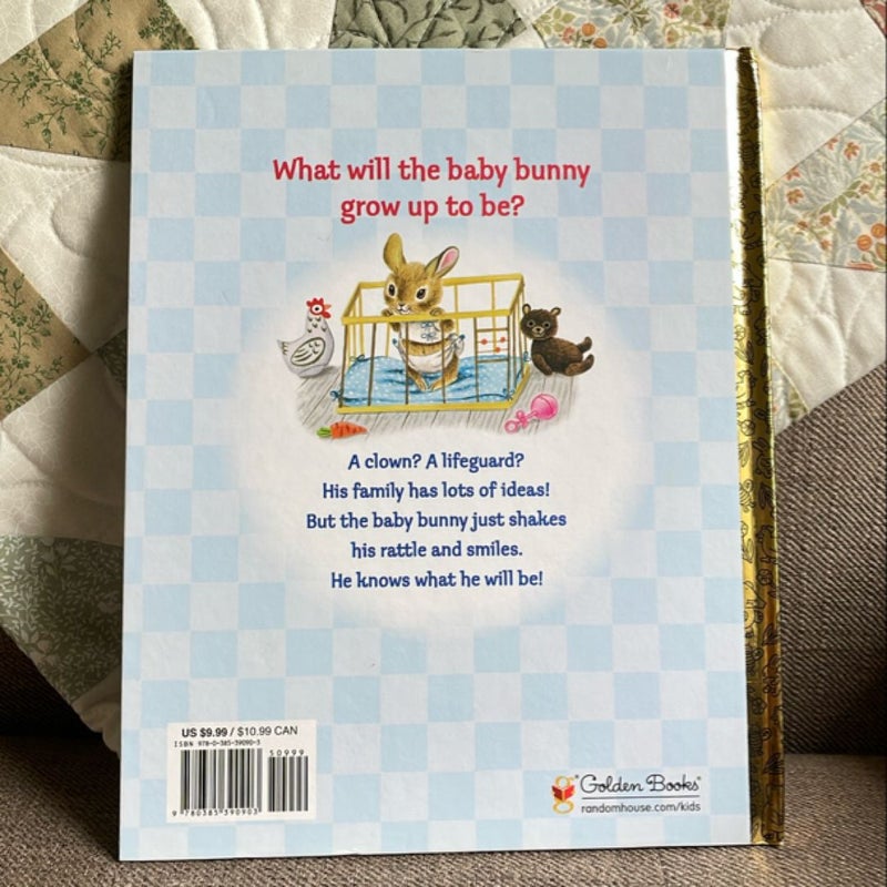 Richard Scarry's the Bunny Book