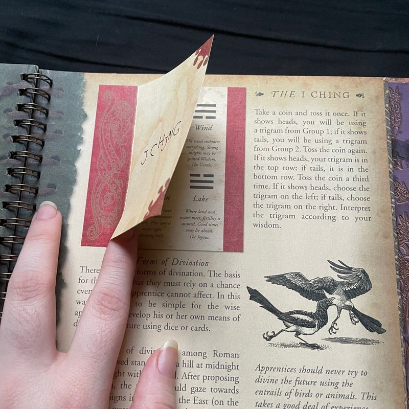 The Wizardology Handbook