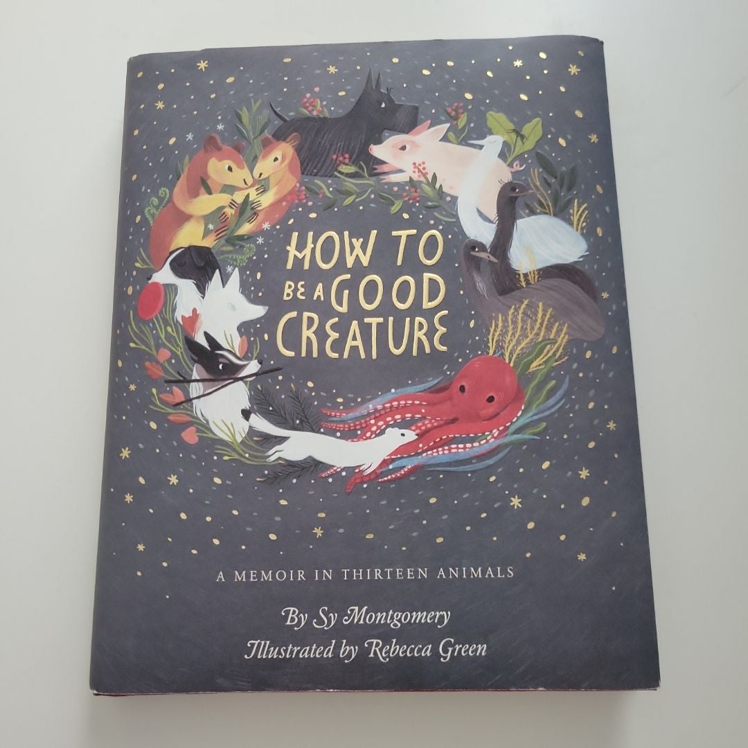 Sale image for b161bad4-3ae3-45ae-a581-76bd97842ebb-FNYXxOZueabiimyhUXIDaYNndME2