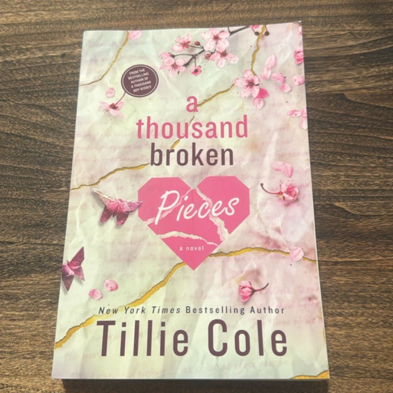 A Thousand Broken Pieces