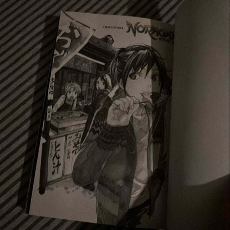 Noragami: Stray God 13