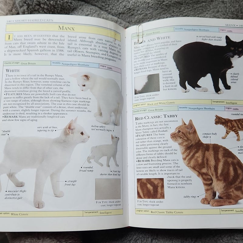 Cats