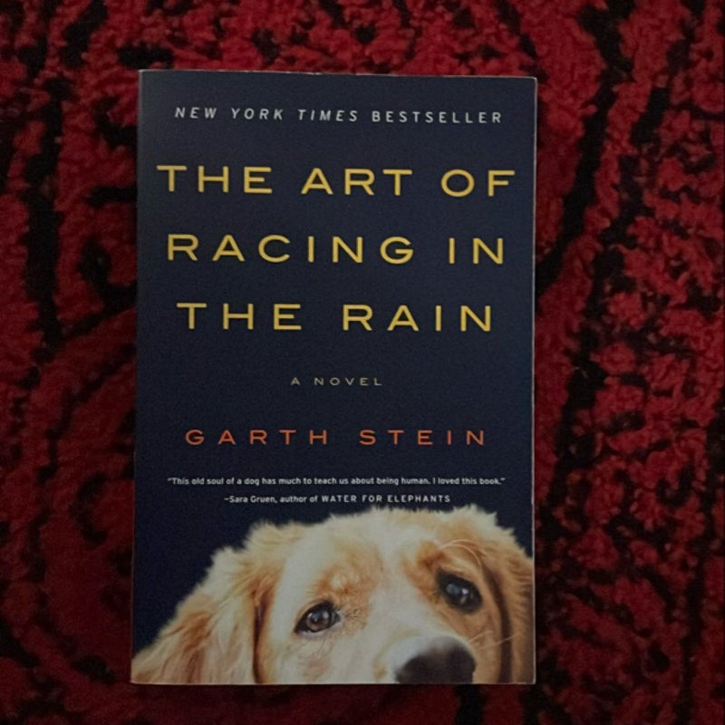 The Art of Racing in the Rain