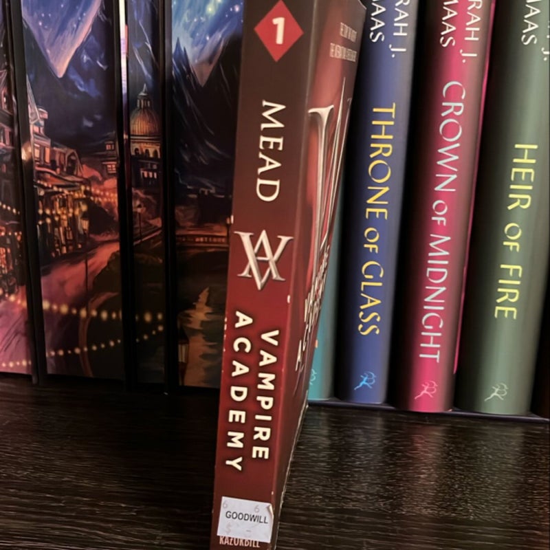 Vampire Academy