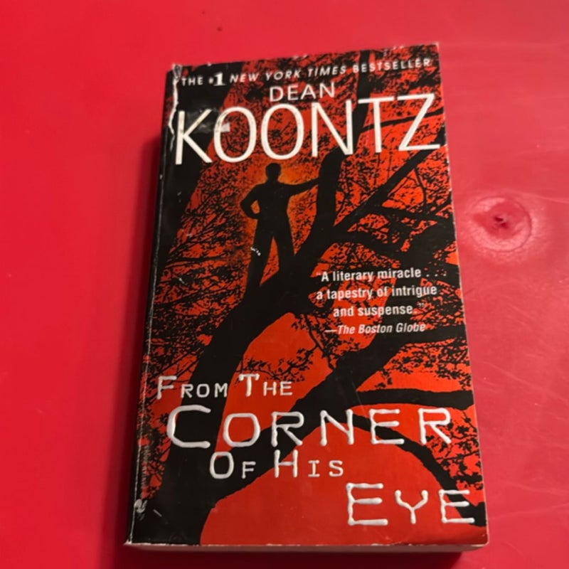 From The Corner Of His Eye