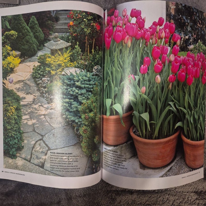 Small-Space Gardening, Container Gardening, Your Comprehensive Guide to Outdoor Plants, Spring Gardening