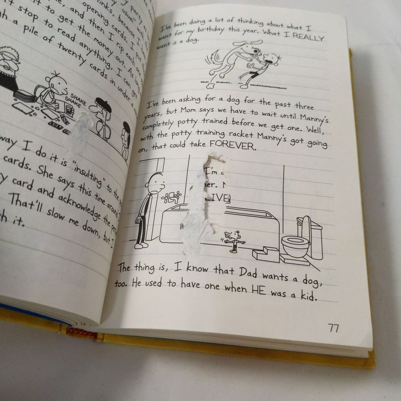 Diary of a Wimpy Kid # 4 - Dog Days