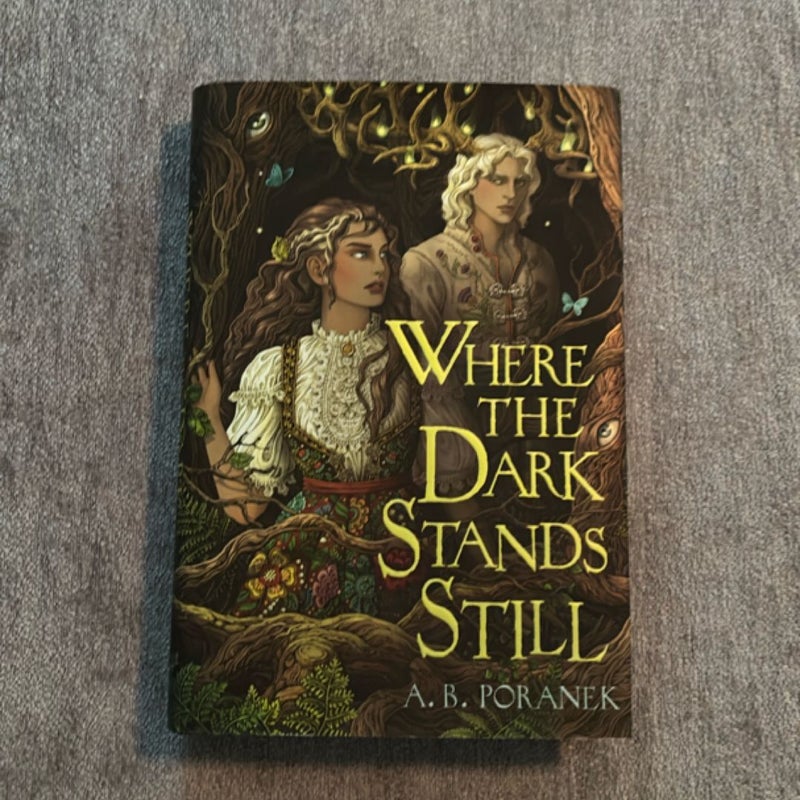 Where the Dark Stands Still