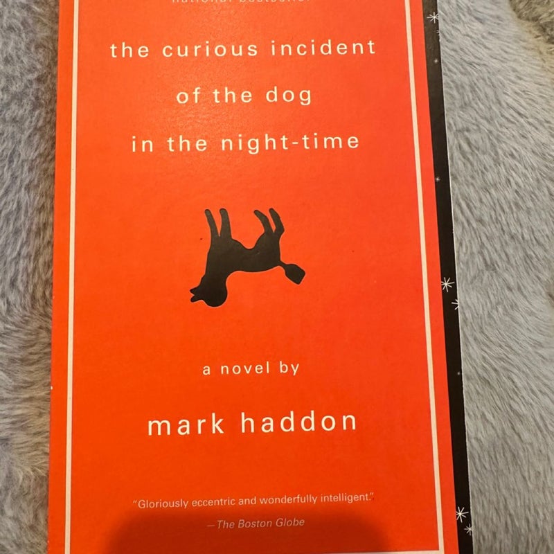 The Curious incident of the dog in the night time