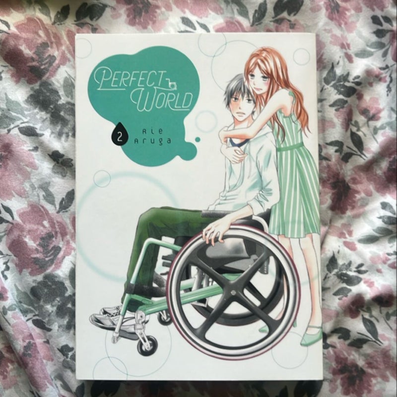 Perfect World 2