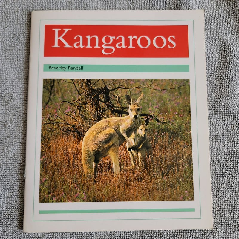 Kangaroos