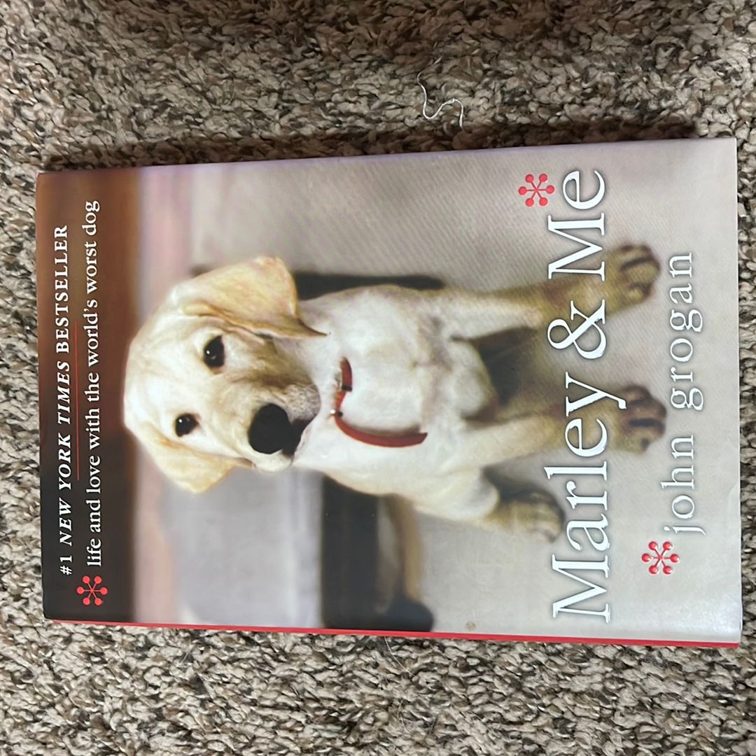 Sale image for dae61fcb-2246-4367-9396-339fe7c8c181-hvCQKIgqfFUQFa39x0wTdgW6bs72