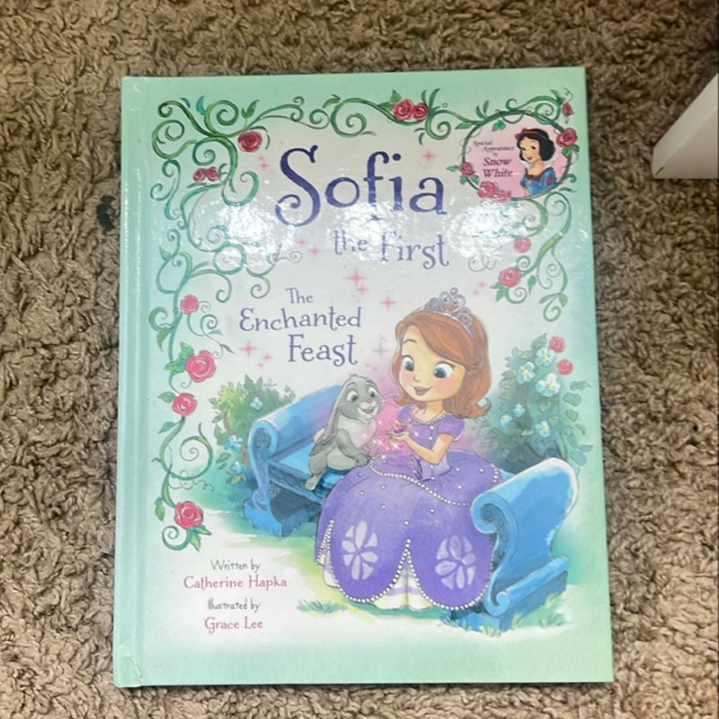 Sofia the First the Enchanted Feast