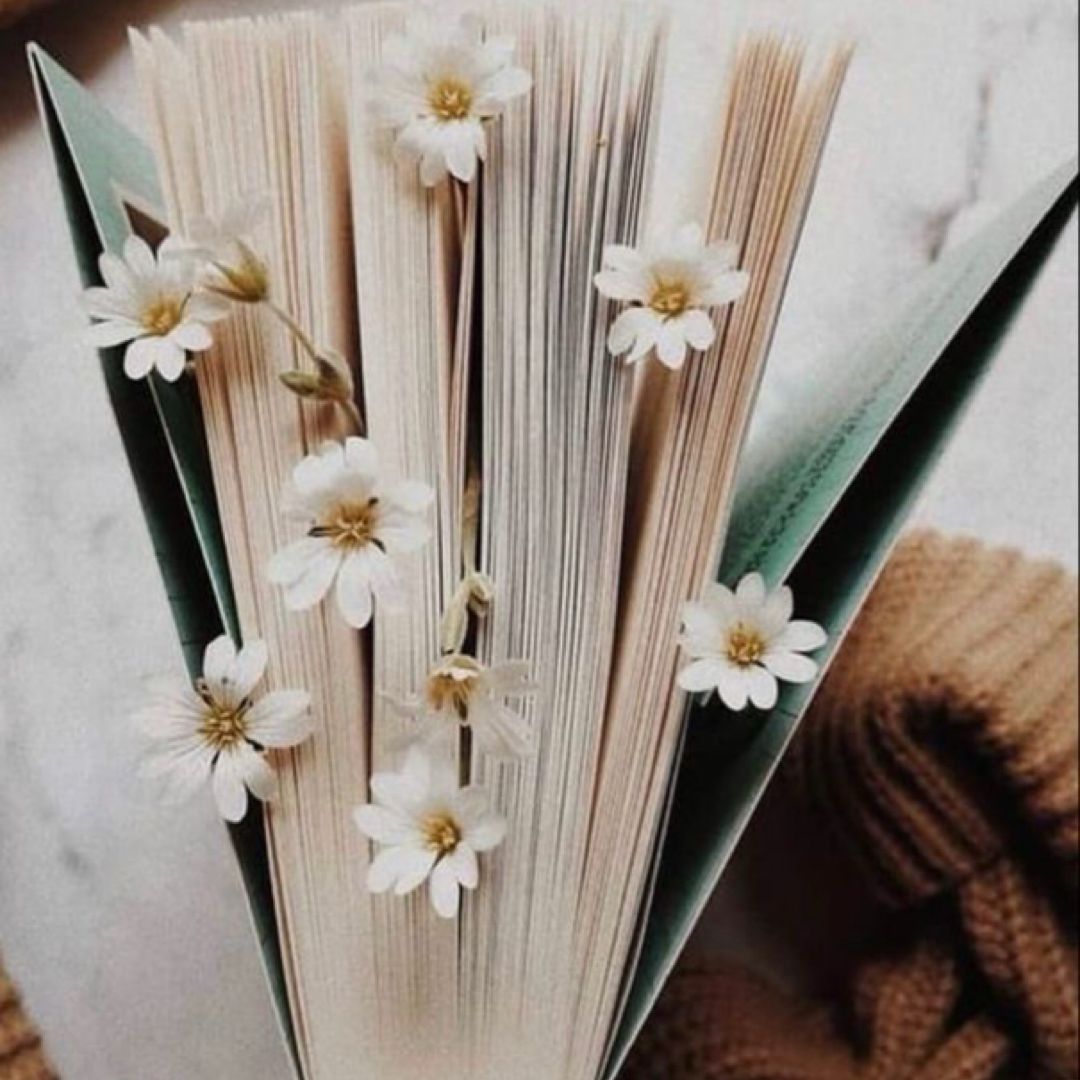 The Bookworm’s Den 📚 ⭐️Ambassador⭐️