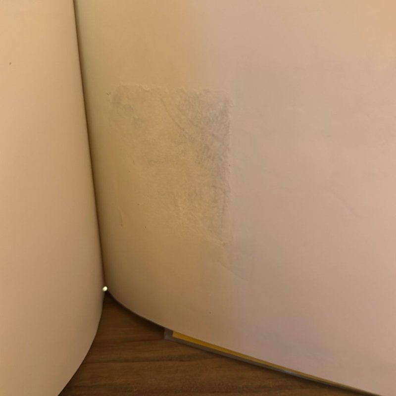 The Forgotten Affairs of Youth