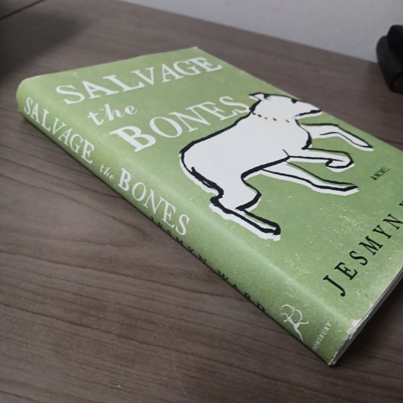 Salvage the Bones