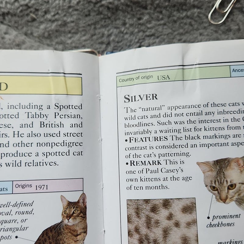 Cats