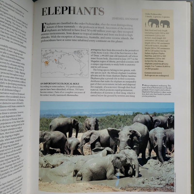 Encyclopedia of Mammals