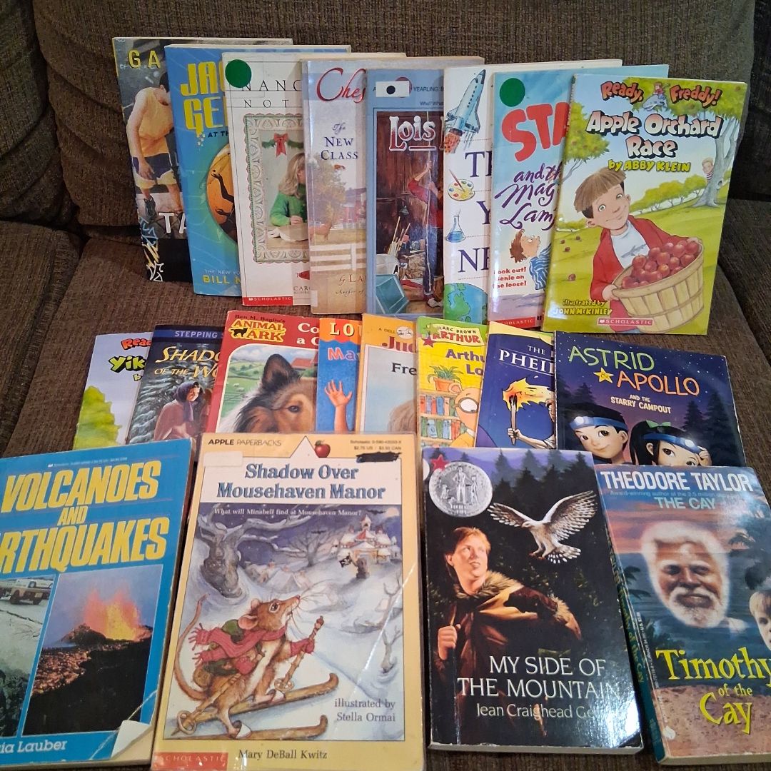 10 pounds of childrens chapter books ( cam jansen, little apple, a dell yearling, apple fiction.....)