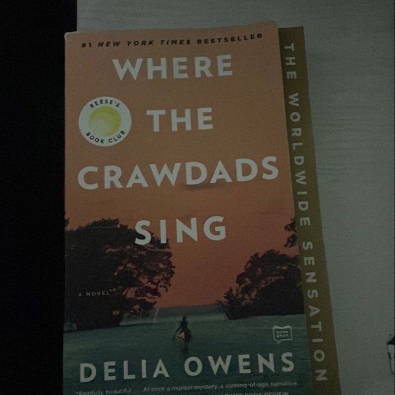 Where the Crawdads Sing