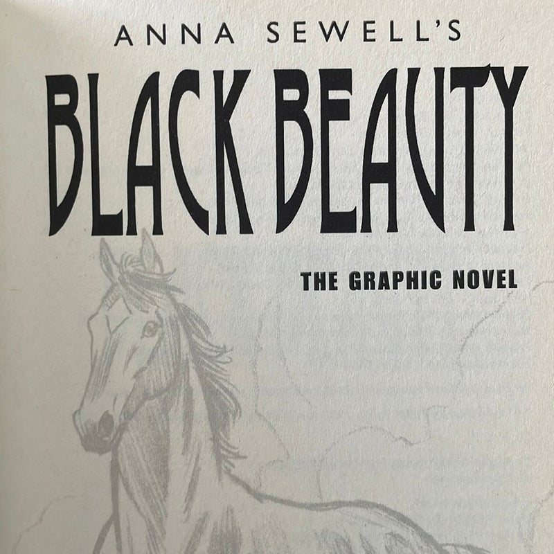 Puffin Graphics: Black Beauty