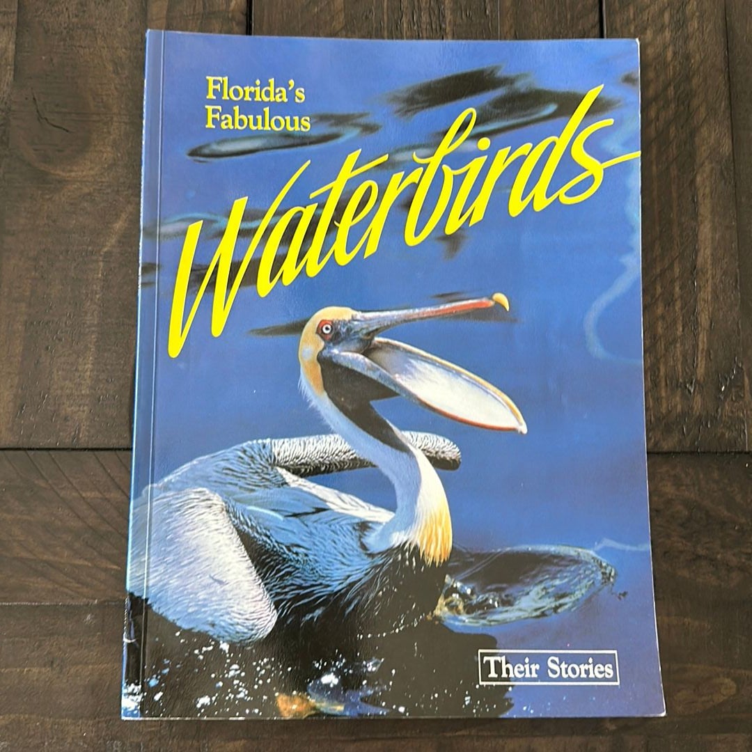 Florida's Fabulous Waterbirds