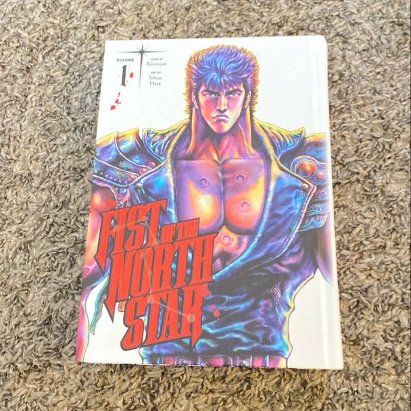 Fist of the North Star, Vol. 1