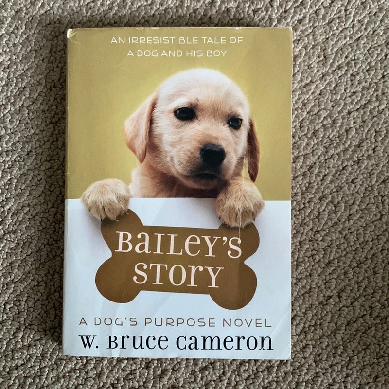 Bailey’s Story