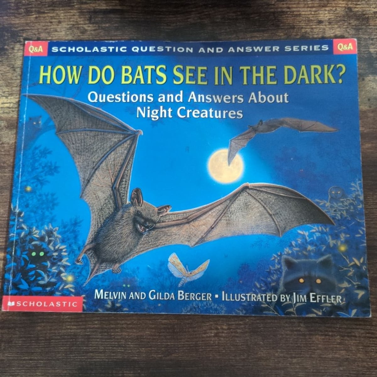 How Do Bats See in the Dark? by Melvin Berger, Gilda Berger, Jim Effler