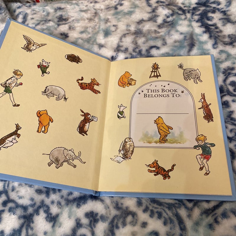 Christopher Robin Leads an Exploration