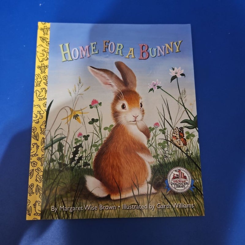Home For A Bunny