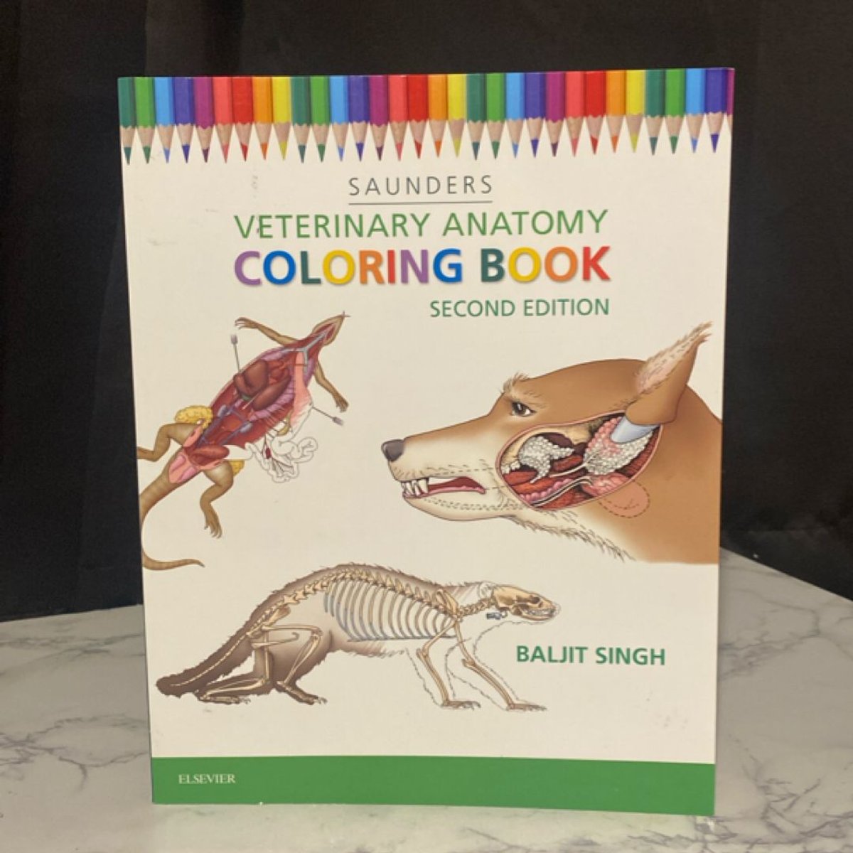 VETERINARY ANATOMY COLORING BOOK BALJIT SINGH PDF visual data 3