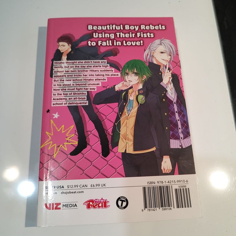 Kenka Bancho Otome: Love's Battle Royale, Vol. 1
