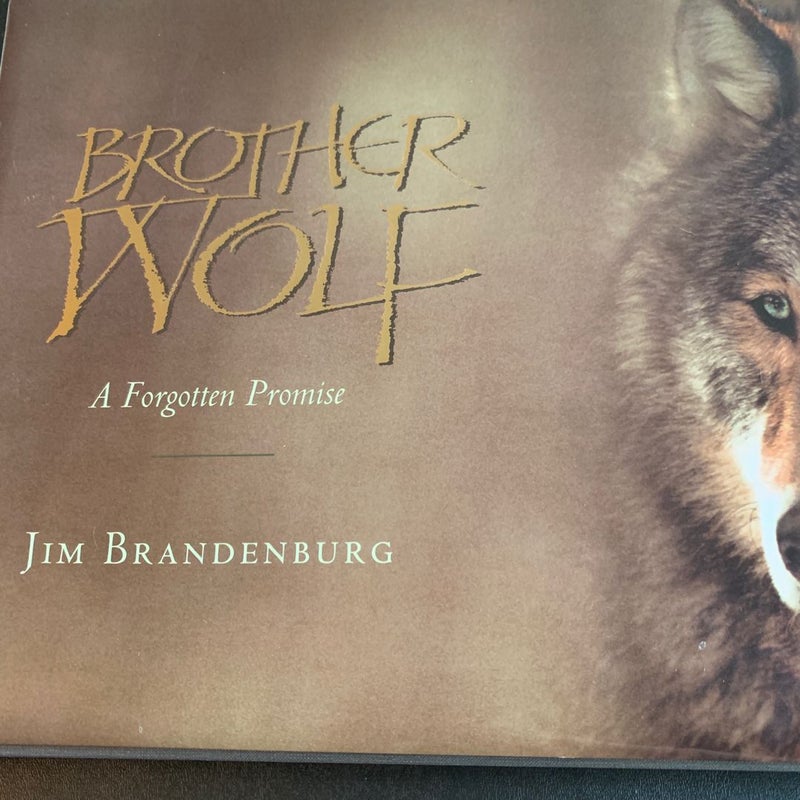 Brother Wolf A Forgotten Promise 
